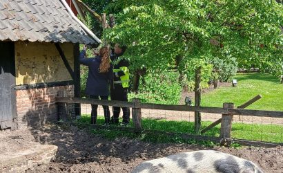 Op bezoek in huis van varken Hammie voor eindopdracht erfgoedopleiding